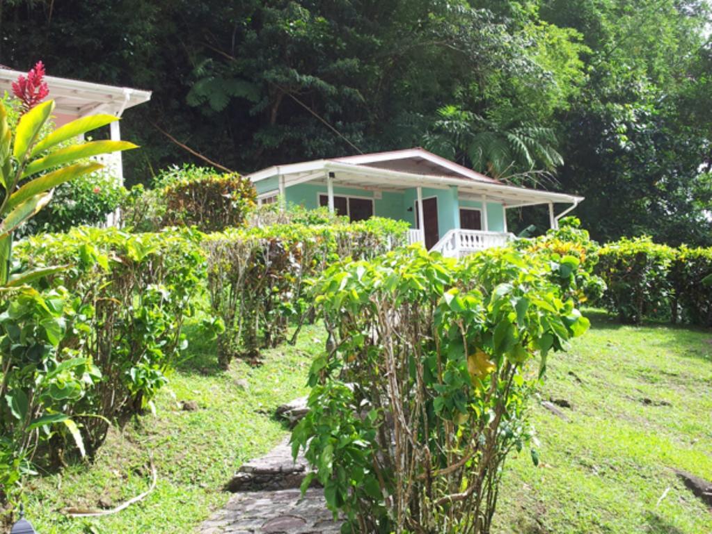 Chez Ophelia Cottage Apartments Roseau Chambre photo