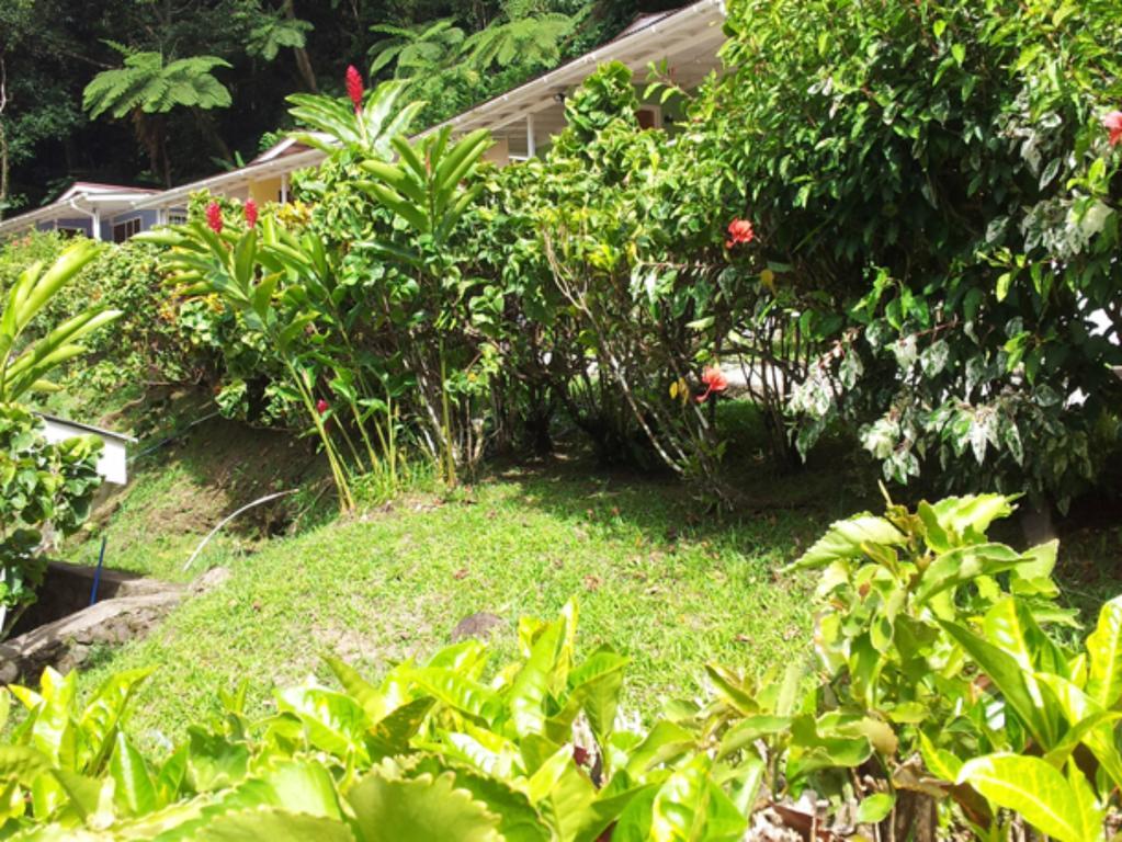 Chez Ophelia Cottage Apartments Roseau Chambre photo